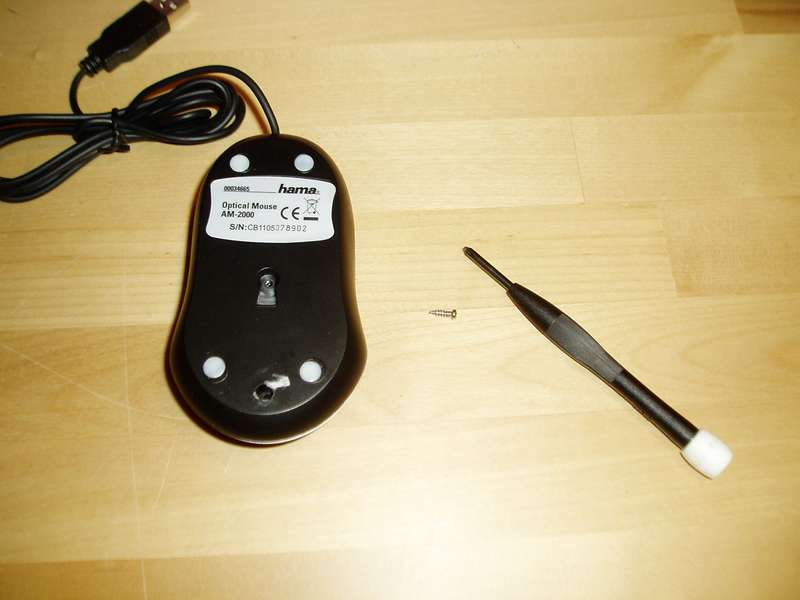 maus_img_2.jpg